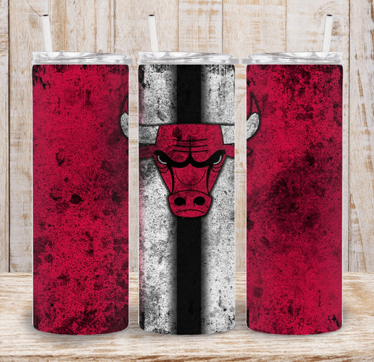 Chicago Bulls